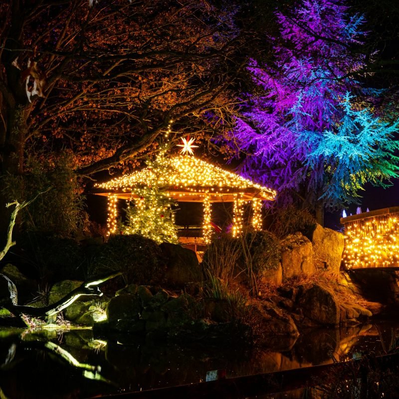 Garden with Christmas lights and a gazebo